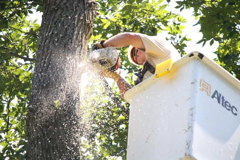 How to properly use a miter saw