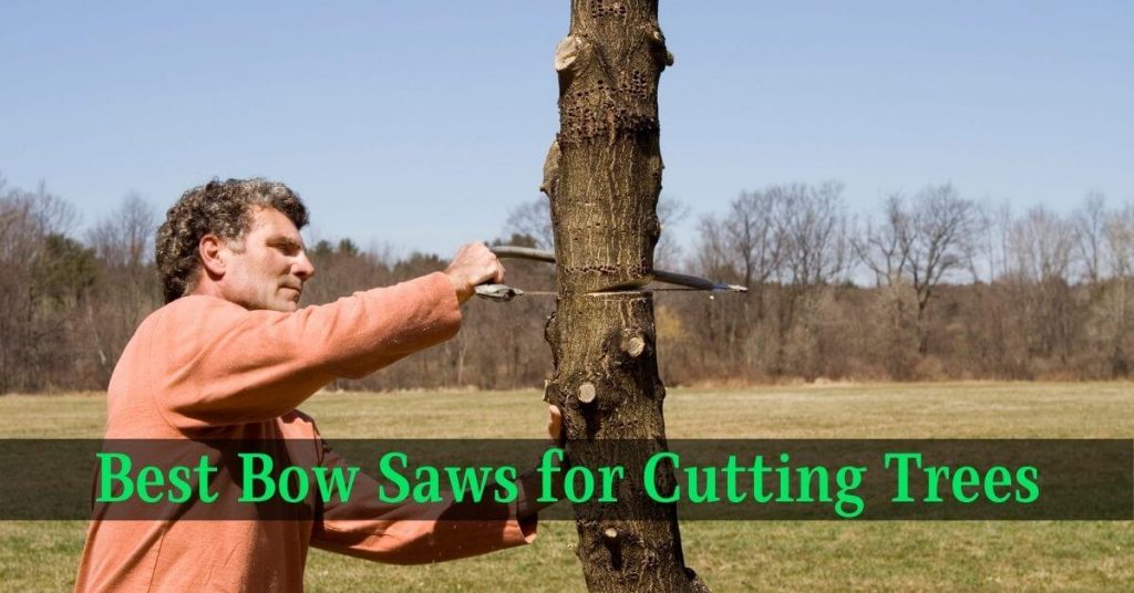 Best Bow Saws for Cutting Trees